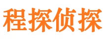 新民调查公司